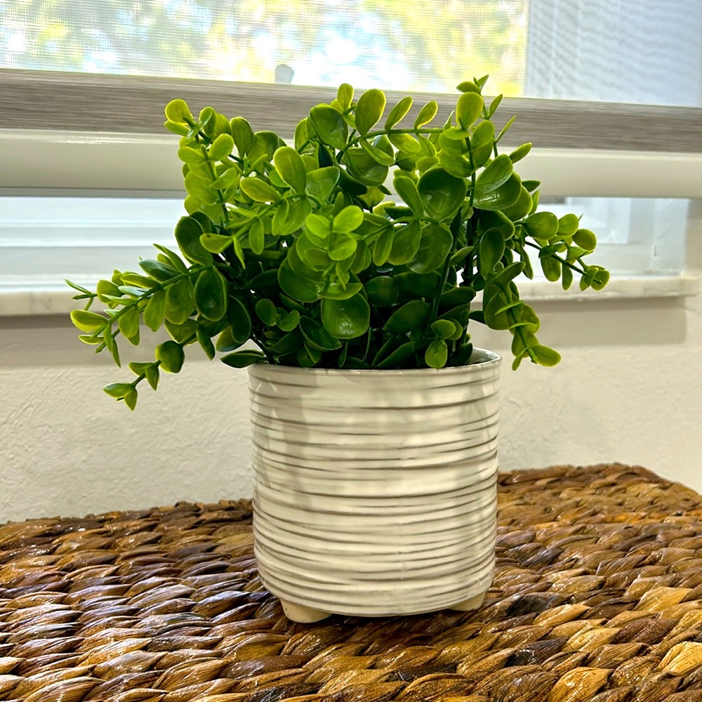 Green & white faux indoor plant 🪴*BNWT*